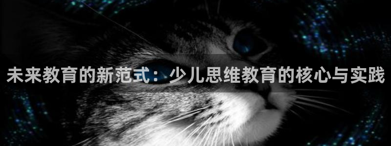新鸿运娱乐平台