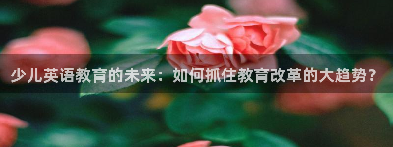 鸿运军团平台被骗