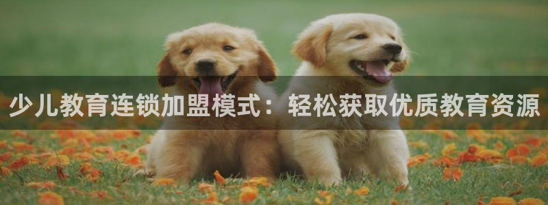 鸿运国际平台咋样