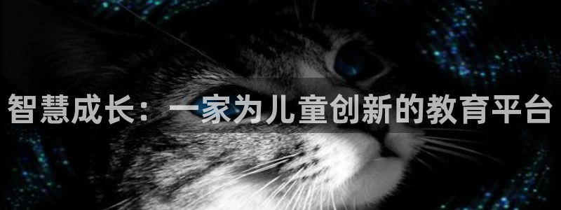 鸿运电商平台茶