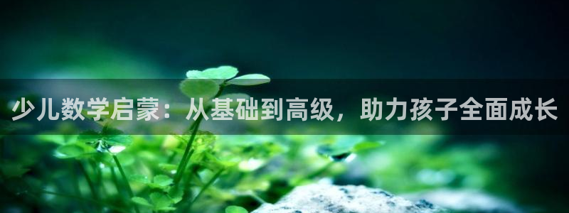 鸿运来投资平台