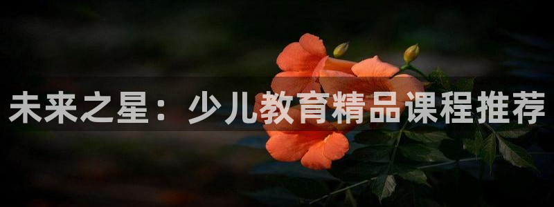 鸿运国际彩票平台