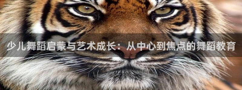 鸿运商旅平台