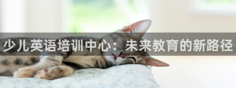 鸿运直播平台游戏