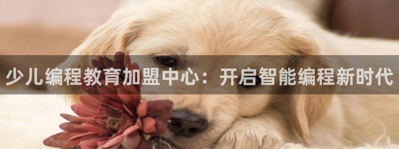 鸿运来手游平台