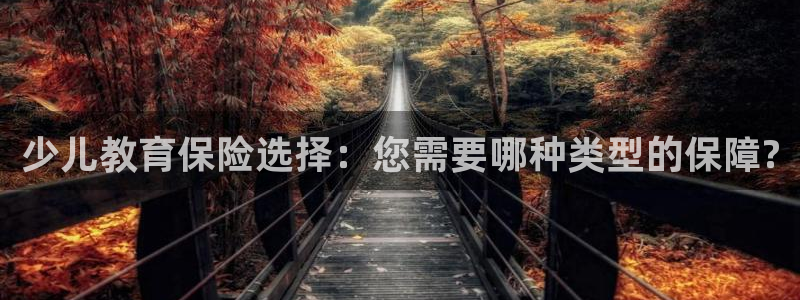 新鸿运股票平台