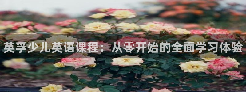 鸿运采购平台
