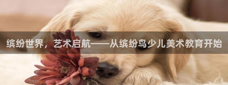 鸿运商城珠宝平台