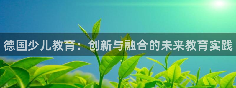鸿运专业购彩平台网止
