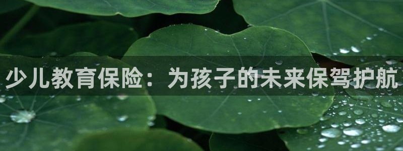 鸿运合拍字画拍卖平台