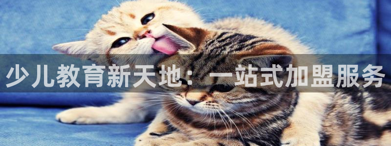 鸿运平台靠谱吗