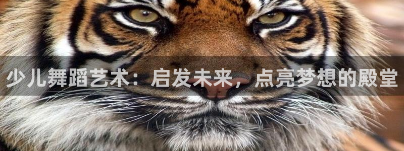 鸿运食品直播平台