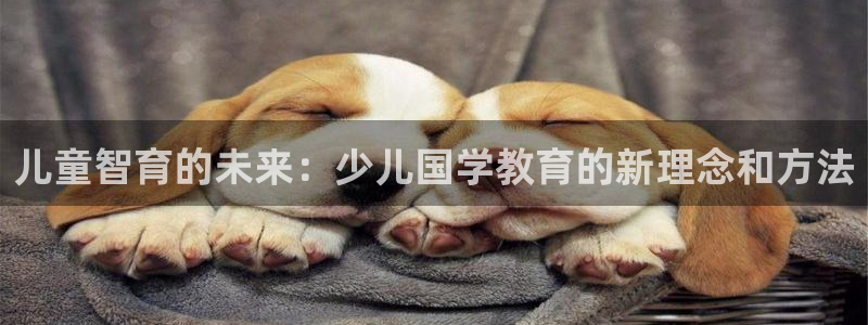 鸿运阿姨直播平台