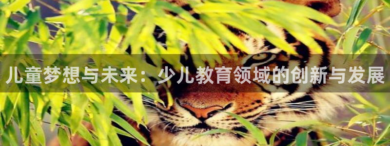鸿运平台运