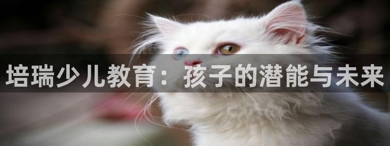 鸿运平台优惠
