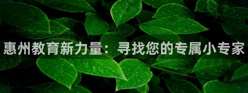 鸿运国际平台咋样
