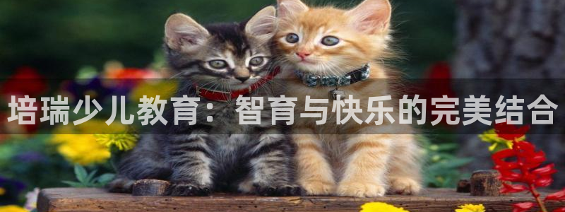 鸿运网络麻将平台