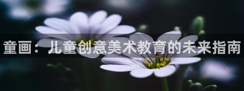 琥珀鸿运平台怎么提现