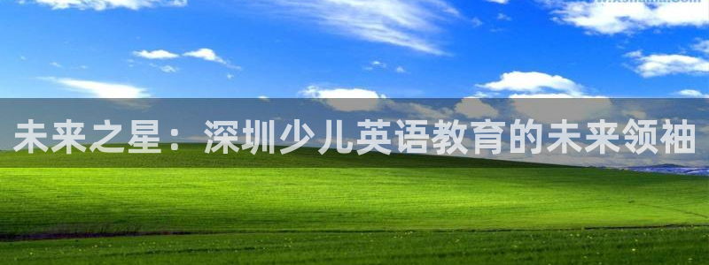 鸿运彩票平台怎样下载