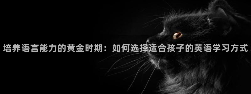 鸿运旧货交易平台