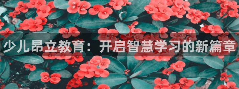 鸿运国际平台台