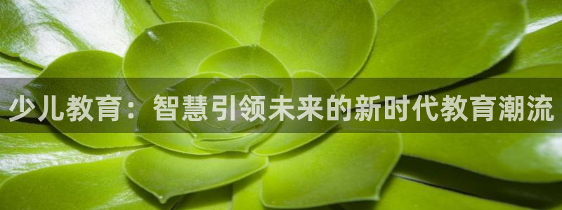 鸿运投资平台