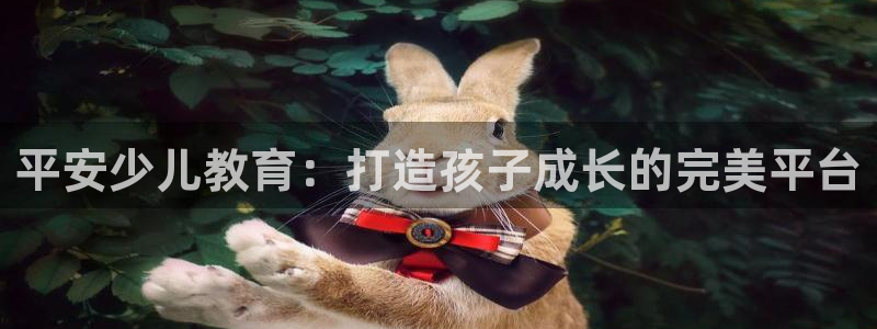 鸿运瓦罐团购平台