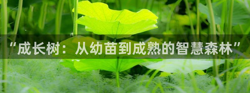 鸿运彩票网络平台下载