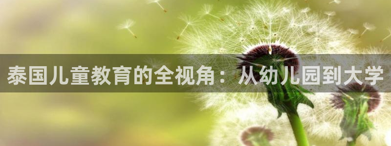 琥珀鸿运平台