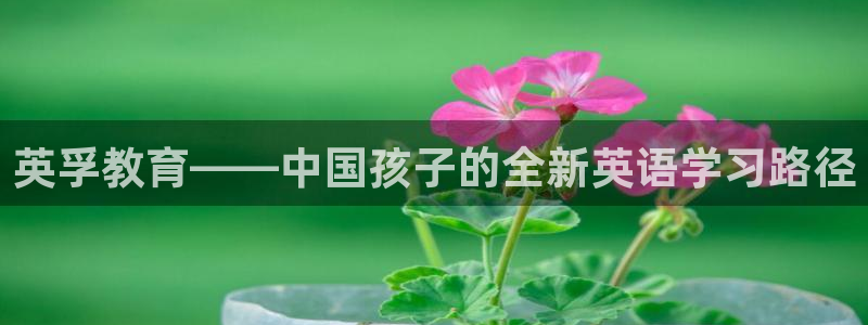鸿运平台主管