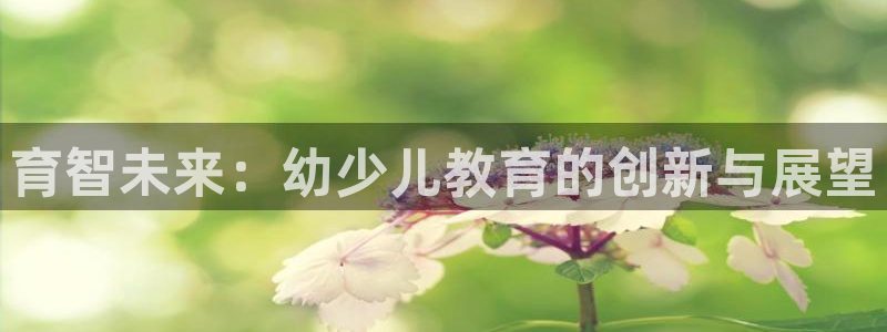 鸿运是哪里平台