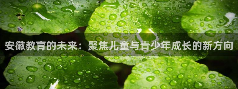 鸿运28微信平台