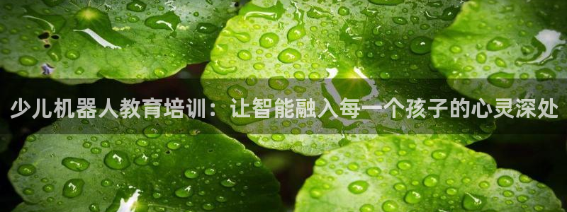 鸿运服务平台是什么