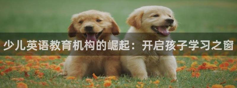 鸿运彩票平台可靠吗