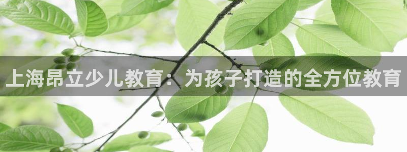 鸿运钱包平台正规吗