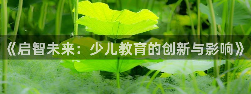 鸿运体育平台网址是什么