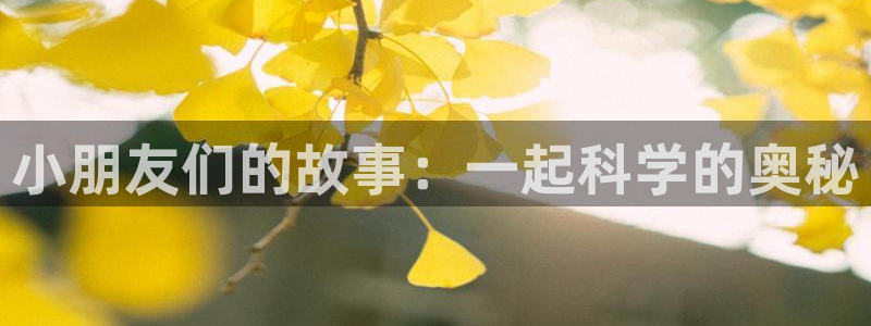 鸿运集团平台招聘