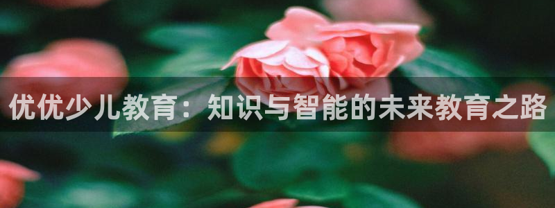 鸿运是黑平台吗