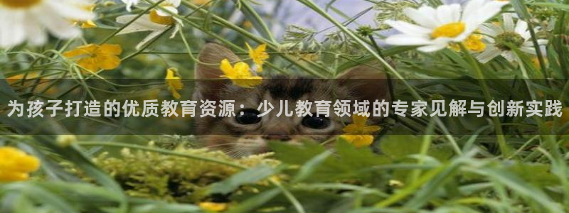 东方鸿运平台娱乐