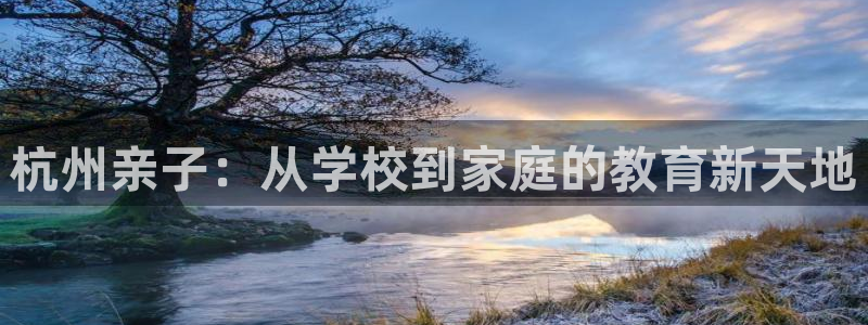 鸿运专业购彩平台网止