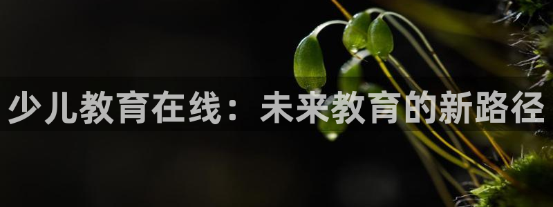 鸿运平台带赚