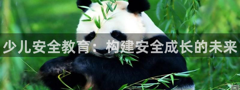 琥珀鸿运是个国际平台吗