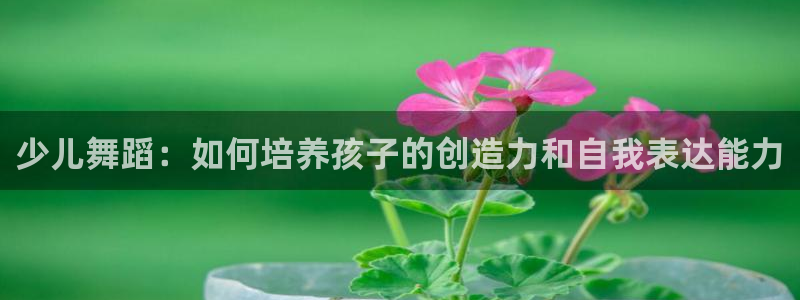 鸿运28平台