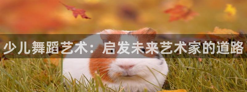 鸿运棋牌app游戏平台