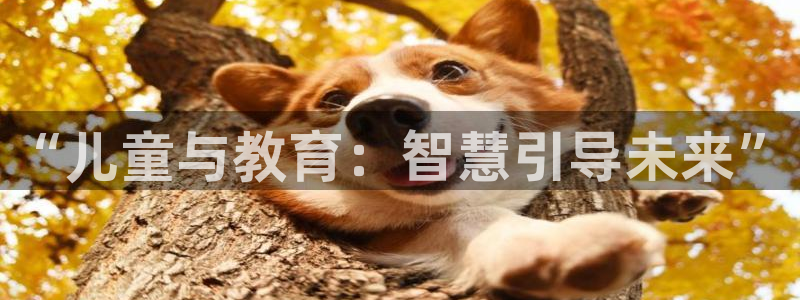 鸿运对战平台