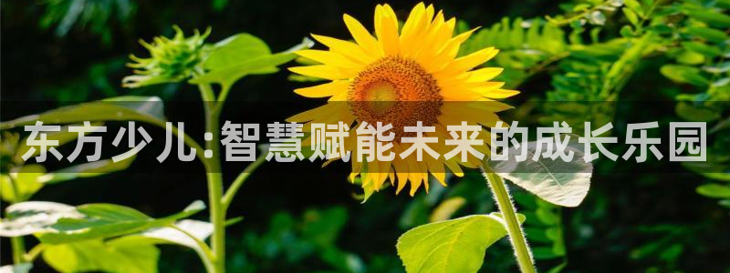 鸿运彩票平台带玩