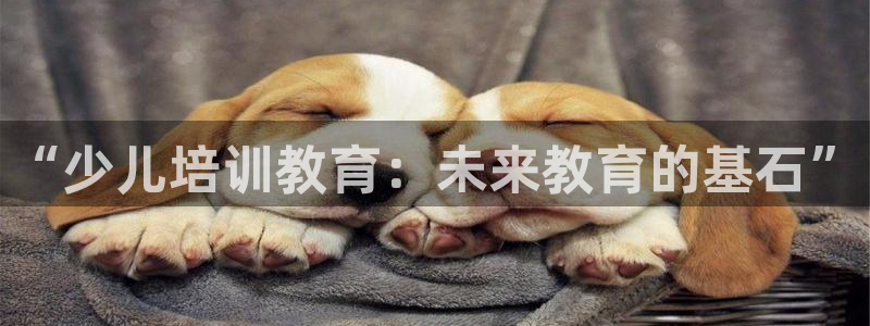 鸿运茶厂直播平台