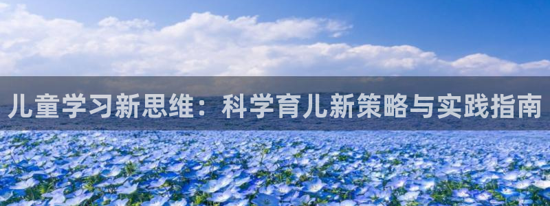 鸿运北斗监控平台