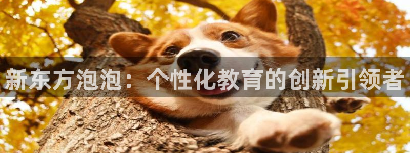 鸿运当头平台画