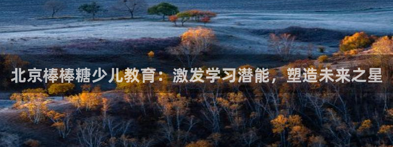 鸿运卡盟平台